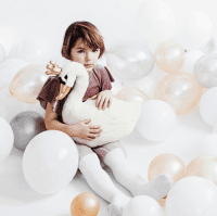 party-bedna-swan-labuti-oslava