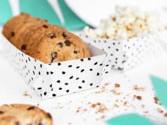 Obal na památku dinosauři, 6,6x15 x4cm, 6ks